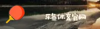 功能与服务详解